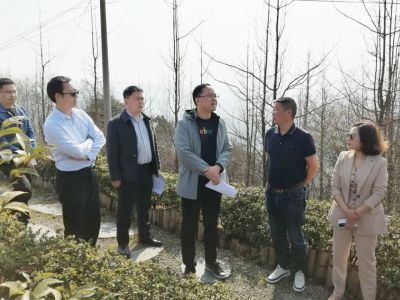 哈希游戏乡村发展集团与都江堰市政府召开项目推进交流会